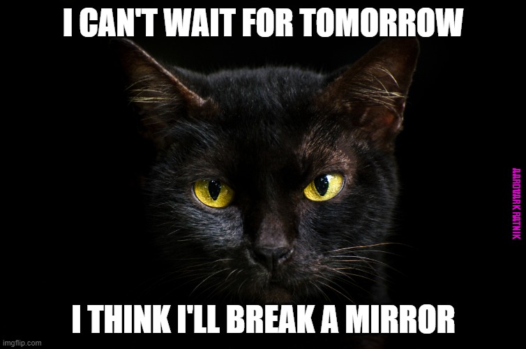 Tomorrow Tomorrow | I CAN'T WAIT FOR TOMORROW; AARDVARK RATNIK; I THINK I'LL BREAK A MIRROR | image tagged in funny memes,black cat,friday the 13th | made w/ Imgflip meme maker