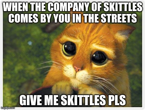 Shrek Cat | WHEN THE COMPANY OF SKITTLES COMES BY YOU IN THE STREETS; GIVE ME SKITTLES PLS | image tagged in memes,shrek cat | made w/ Imgflip meme maker