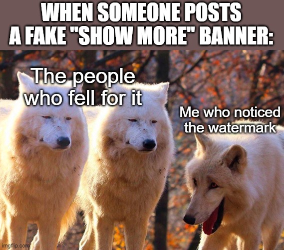Grump Wolves | WHEN SOMEONE POSTS A FAKE "SHOW MORE" BANNER:; The people who fell for it; Me who noticed the watermark | image tagged in grump wolves | made w/ Imgflip meme maker