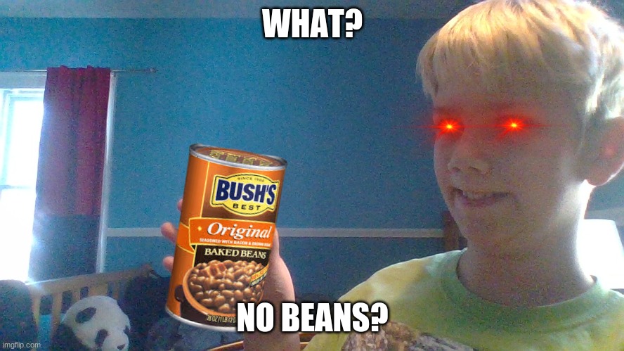 youngling | WHAT? NO BEANS? | image tagged in i found this online | made w/ Imgflip meme maker