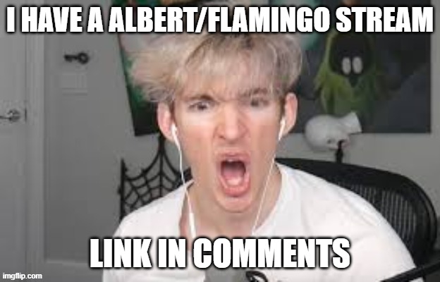No posting an advertisement in ROBLOX stream please. - Lime_Official | I HAVE A ALBERT/FLAMINGO STREAM; LINK IN COMMENTS | made w/ Imgflip meme maker