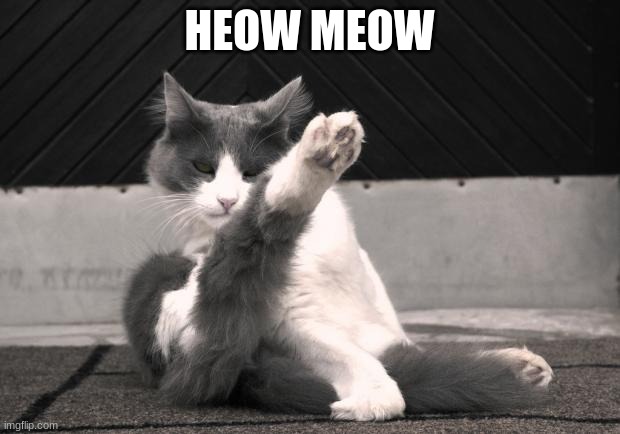 Karate Cat |  HEOW MEOW | image tagged in karate cat,pigons | made w/ Imgflip meme maker