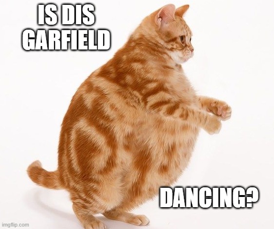 Garfield Dancing Meme | IS DIS GARFIELD; DANCING? | image tagged in chonk cat dance,cats,memes | made w/ Imgflip meme maker