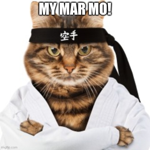 mew | MY MAR MO! | image tagged in cat,karate cat | made w/ Imgflip meme maker