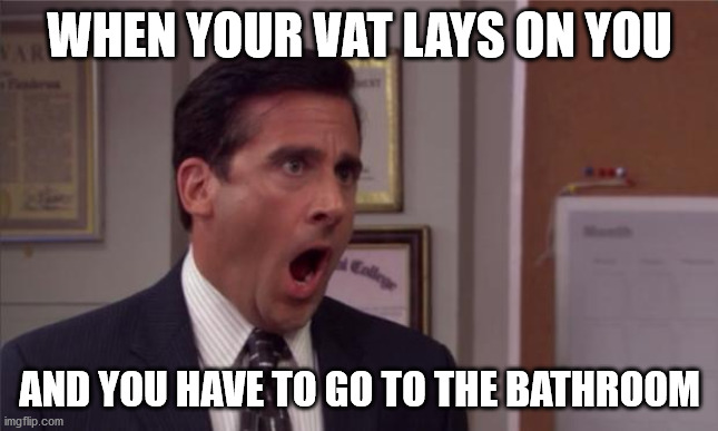 The truth of cats | WHEN YOUR VAT LAYS ON YOU; AND YOU HAVE TO GO TO THE BATHROOM | image tagged in noooooo | made w/ Imgflip meme maker
