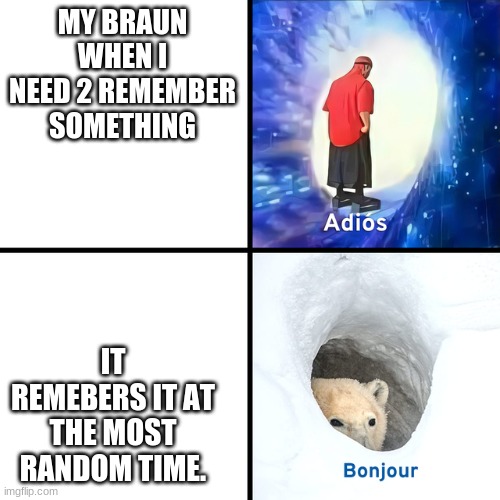 Adios Bonjour | MY BRAUN WHEN I NEED 2 REMEMBER SOMETHING; IT REMEBERS IT AT THE MOST RANDOM TIME. | image tagged in adios bonjour | made w/ Imgflip meme maker