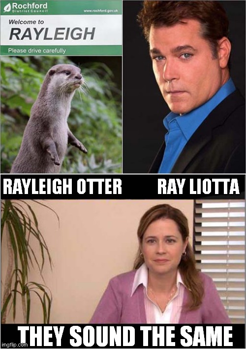 Rayleigh Otter ? | RAYLEIGH OTTER          RAY LIOTTA; THEY SOUND THE SAME | image tagged in ray liotta,they're the same picture | made w/ Imgflip meme maker