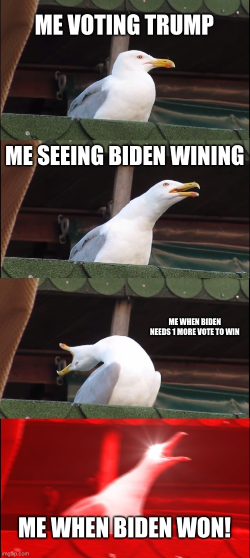 Inhaling Seagull | ME VOTING TRUMP; ME SEEING BIDEN WINING; ME WHEN BIDEN NEEDS 1 MORE VOTE TO WIN; ME WHEN BIDEN WON! | image tagged in memes,inhaling seagull | made w/ Imgflip meme maker