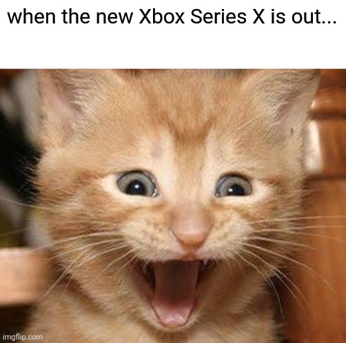 nothing special, just encouraging Xbox | when the new Xbox Series X is out... | image tagged in memes,excited cat | made w/ Imgflip meme maker