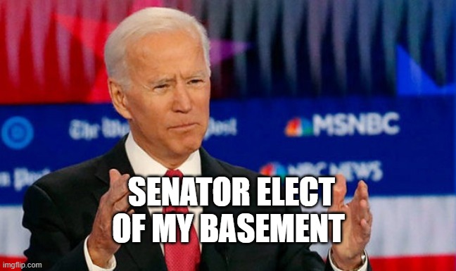 Joe Biden - Senator Elect of His Basement | SENATOR ELECT OF MY BASEMENT | image tagged in quid pro joe biden | made w/ Imgflip meme maker