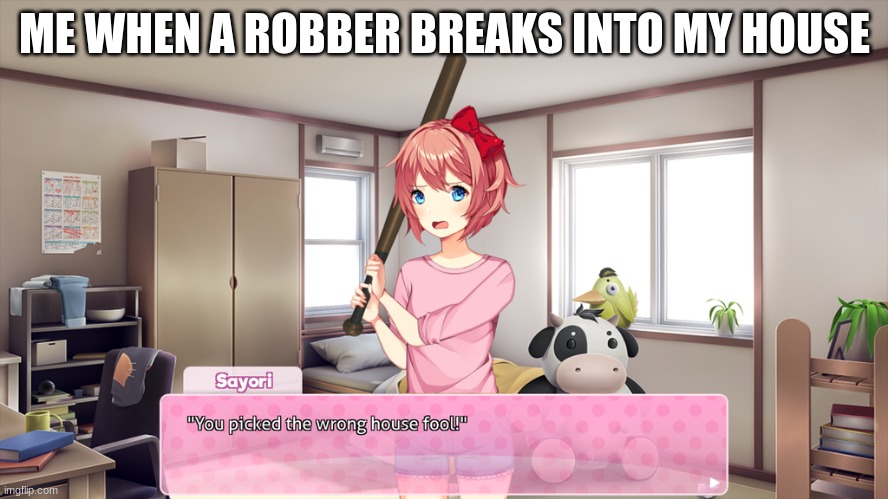 You Picked the wrong house fool-DDLC edition | ME WHEN A ROBBER BREAKS INTO MY HOUSE | image tagged in you picked the wrong house fool-ddlc edition | made w/ Imgflip meme maker