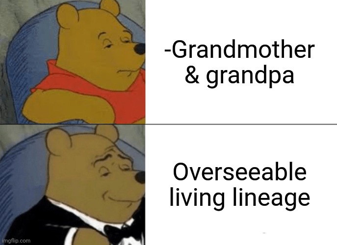-Saying gladful words for age. | -Grandmother & grandpa; Overseeable living lineage | image tagged in memes,tuxedo winnie the pooh,grandma finds the internet,storytelling grandpa,heritage,teenagers | made w/ Imgflip meme maker