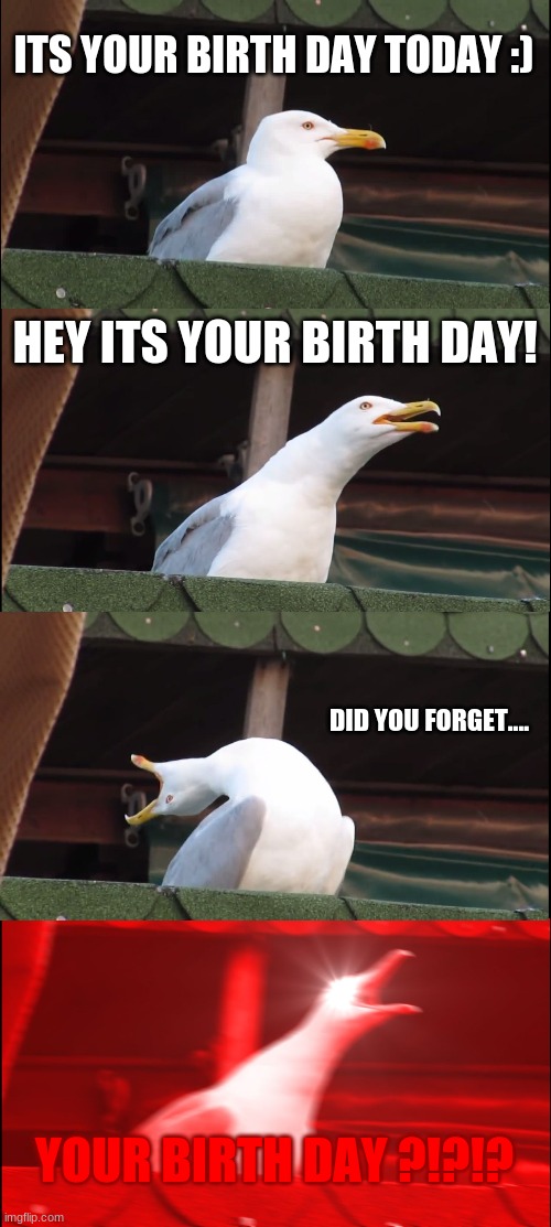 Your birth day :) | ITS YOUR BIRTH DAY TODAY :); HEY ITS YOUR BIRTH DAY! DID YOU FORGET.... YOUR BIRTH DAY ?!?!? | image tagged in memes,inhaling seagull | made w/ Imgflip meme maker