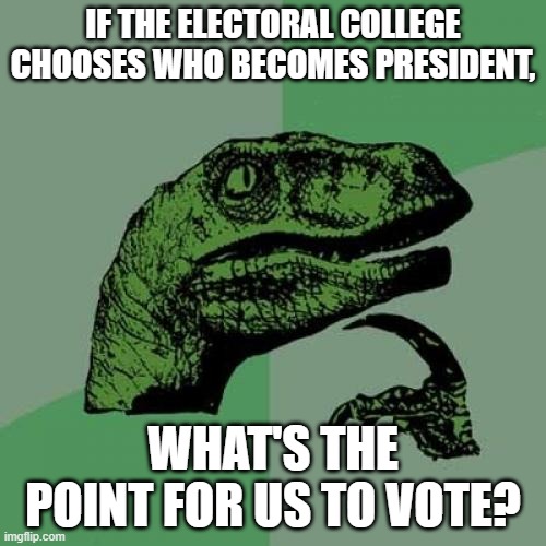 Philosoraptor | IF THE ELECTORAL COLLEGE CHOOSES WHO BECOMES PRESIDENT, WHAT'S THE POINT FOR US TO VOTE? | image tagged in memes,philosoraptor | made w/ Imgflip meme maker