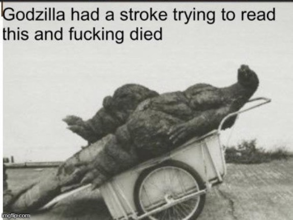 Godzilla had a stroke trying to read this and fucking died | image tagged in godzilla had a stroke trying to read this and fucking died | made w/ Imgflip meme maker