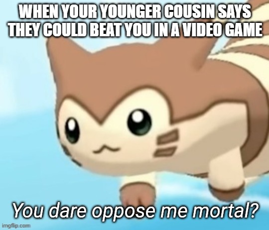 Furret you dare oppose me mortal? | WHEN YOUR YOUNGER COUSIN SAYS THEY COULD BEAT YOU IN A VIDEO GAME | image tagged in furret you dare oppose me mortal,cats | made w/ Imgflip meme maker
