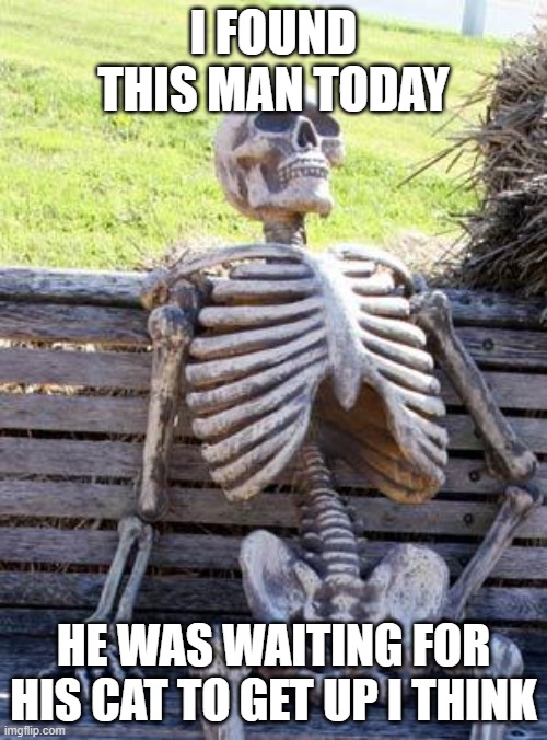 Waiting Skeleton | I FOUND THIS MAN TODAY; HE WAS WAITING FOR HIS CAT TO GET UP I THINK | image tagged in memes,waiting skeleton | made w/ Imgflip meme maker
