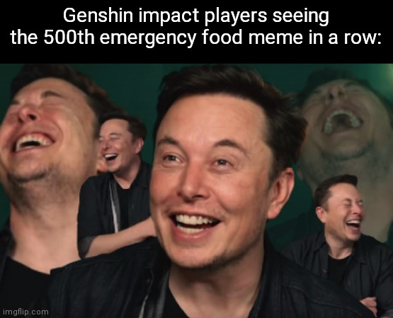 Haha emergency food meme go brrrrrr | Genshin impact players seeing the 500th emergency food meme in a row: | image tagged in elon musk laughing | made w/ Imgflip meme maker