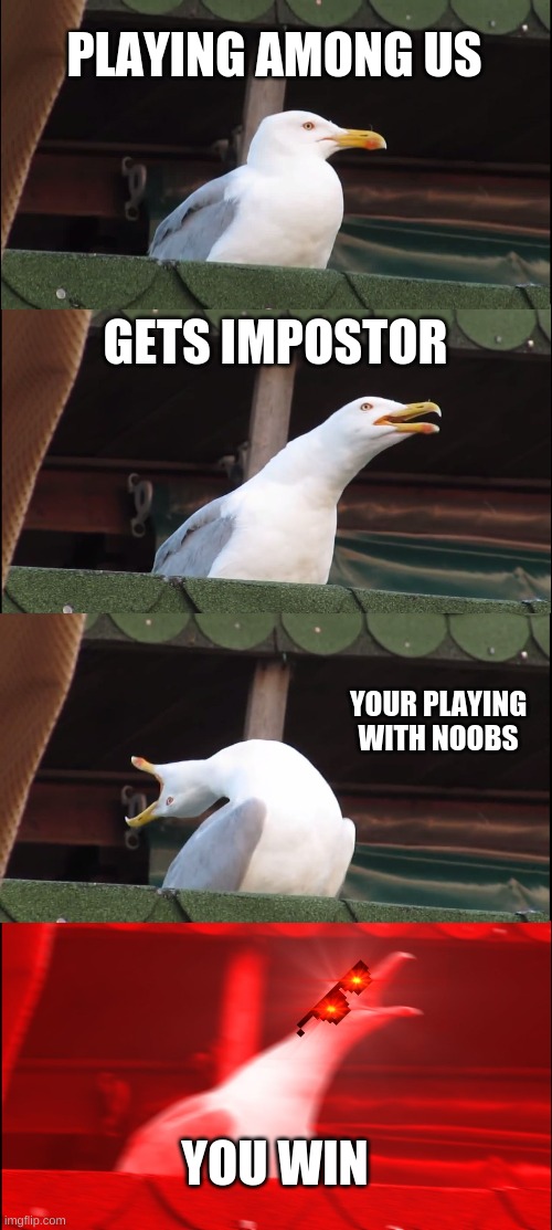 oh yea | PLAYING AMONG US; GETS IMPOSTOR; YOUR PLAYING WITH NOOBS; YOU WIN | image tagged in memes,inhaling seagull | made w/ Imgflip meme maker