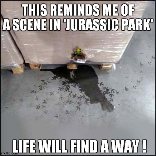 What Was In The Crate ? | THIS REMINDS ME OF A SCENE IN 'JURASSIC PARK'; LIFE WILL FIND A WAY ! | image tagged in jurassic park,footprints,frontpage | made w/ Imgflip meme maker