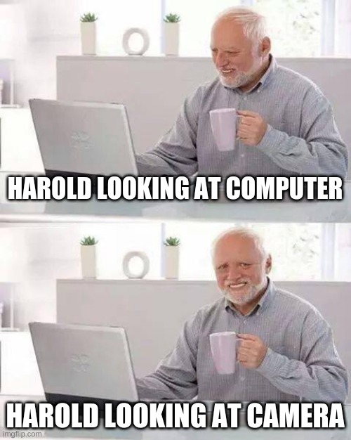 Hide the Pain Harold Meme | HAROLD LOOKING AT COMPUTER; HAROLD LOOKING AT CAMERA | image tagged in memes,hide the pain harold | made w/ Imgflip meme maker