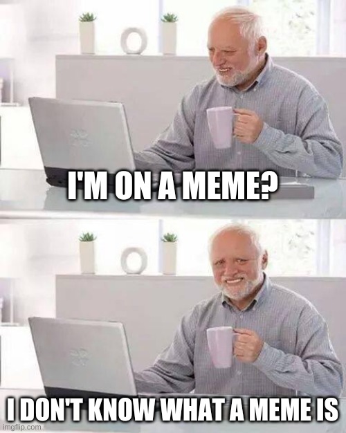 Hide the Pain Harold Meme | I'M ON A MEME? I DON'T KNOW WHAT A MEME IS | image tagged in memes,hide the pain harold | made w/ Imgflip meme maker