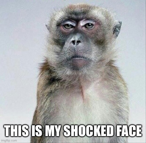Blank face stare | THIS IS MY SHOCKED FACE | image tagged in blank face stare | made w/ Imgflip meme maker