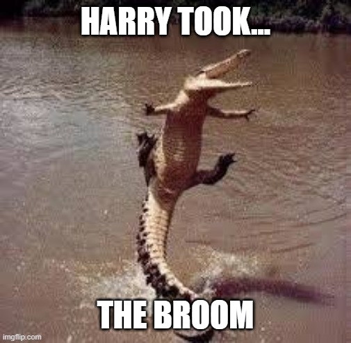 gator birthday | HARRY TOOK... THE BROOM | image tagged in gator birthday | made w/ Imgflip meme maker