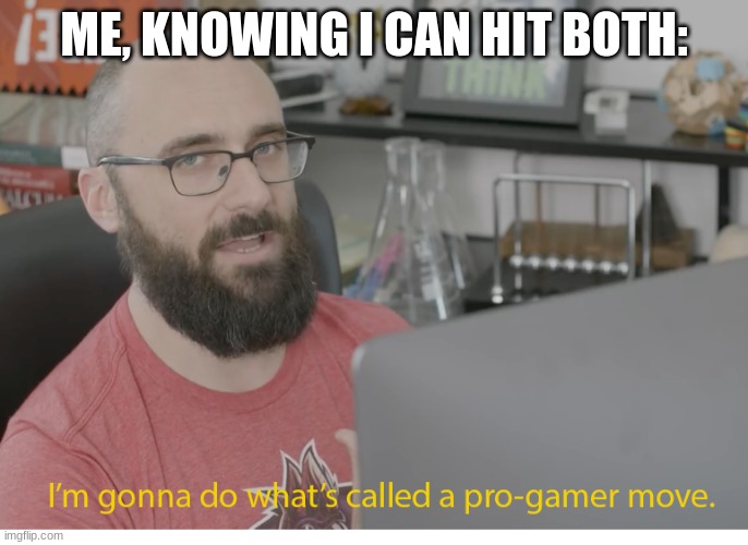 I'm gonna do what's called a pro-gamer move. | ME, KNOWING I CAN HIT BOTH: | image tagged in i'm gonna do what's called a pro-gamer move | made w/ Imgflip meme maker
