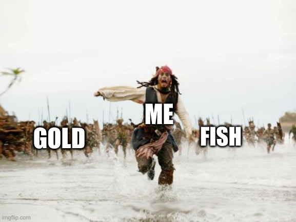 gold fish | ME; GOLD; FISH | image tagged in memes,jack sparrow being chased | made w/ Imgflip meme maker