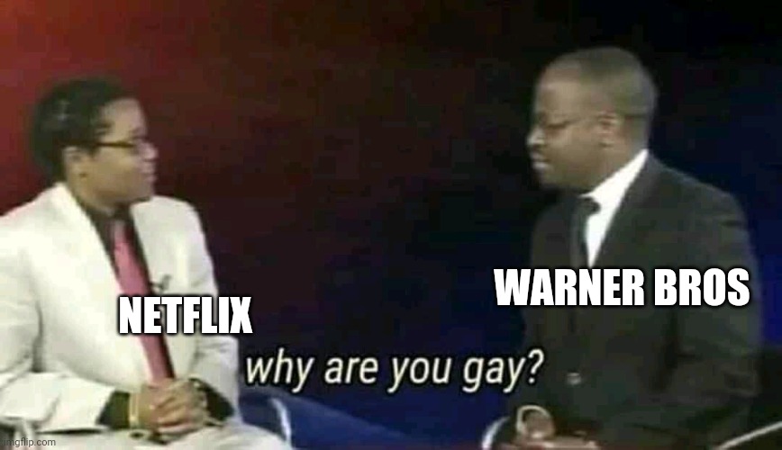 Why are you gay? | NETFLIX WARNER BROS | image tagged in why are you gay | made w/ Imgflip meme maker