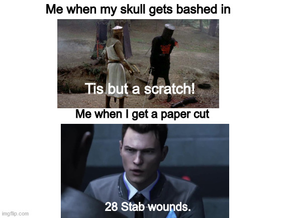 Blank White Template | Me when my skull gets bashed in; Tis but a scratch! Me when I get a paper cut; 28 Stab wounds. | image tagged in blank white template | made w/ Imgflip meme maker