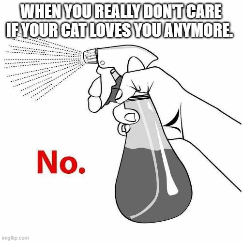 Cat spray | WHEN YOU REALLY DON'T CARE IF YOUR CAT LOVES YOU ANYMORE. | image tagged in cat,kitten,no,training,spray,spray bottle | made w/ Imgflip meme maker