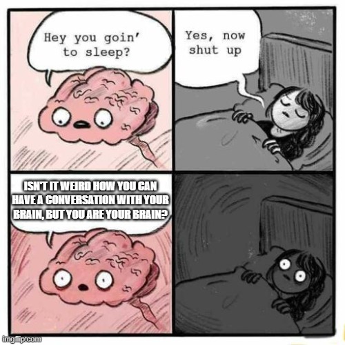 Hey you going to sleep? |  ISN'T IT WEIRD HOW YOU CAN HAVE A CONVERSATION WITH YOUR BRAIN, BUT YOU ARE YOUR BRAIN? | image tagged in hey you going to sleep | made w/ Imgflip meme maker