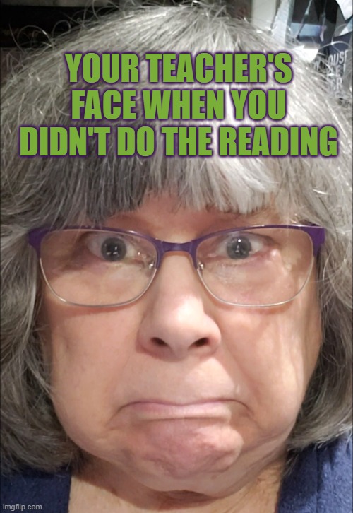 You-didn't-do-your-homework? | YOUR TEACHER'S FACE WHEN YOU DIDN'T DO THE READING | image tagged in you-didn't-do-your-homework | made w/ Imgflip meme maker