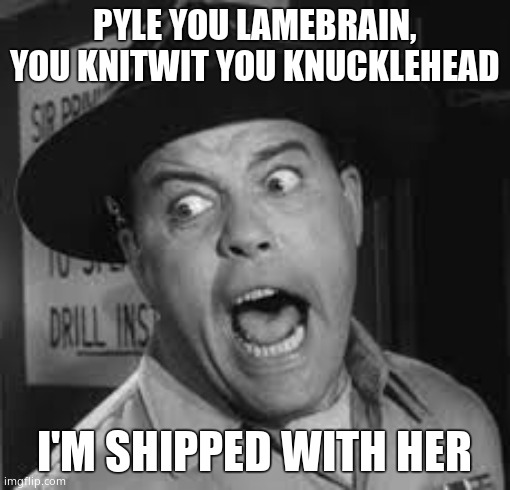 Sgt. Carter Yelling | PYLE YOU LAMEBRAIN, YOU KNITWIT YOU KNUCKLEHEAD I'M SHIPPED WITH HER | image tagged in sgt carter yelling | made w/ Imgflip meme maker