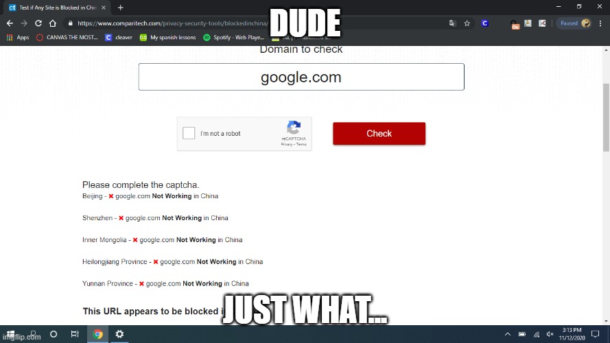 wth | DUDE; JUST WHAT... | image tagged in bruh | made w/ Imgflip meme maker