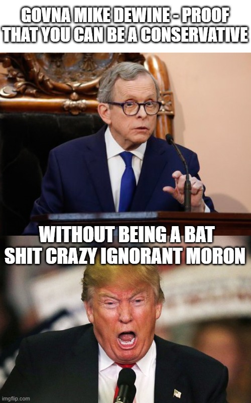 The Gop needs more Mikes | GOVNA MIKE DEWINE - PROOF THAT YOU CAN BE A CONSERVATIVE; WITHOUT BEING A BAT SHIT CRAZY IGNORANT MORON | image tagged in mike dewine,trump whining,memes,politics,maga,gop | made w/ Imgflip meme maker