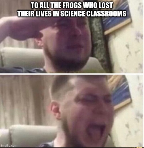 rip | TO ALL THE FROGS WHO LOST THEIR LIVES IN SCIENCE CLASSROOMS | image tagged in crying salute | made w/ Imgflip meme maker
