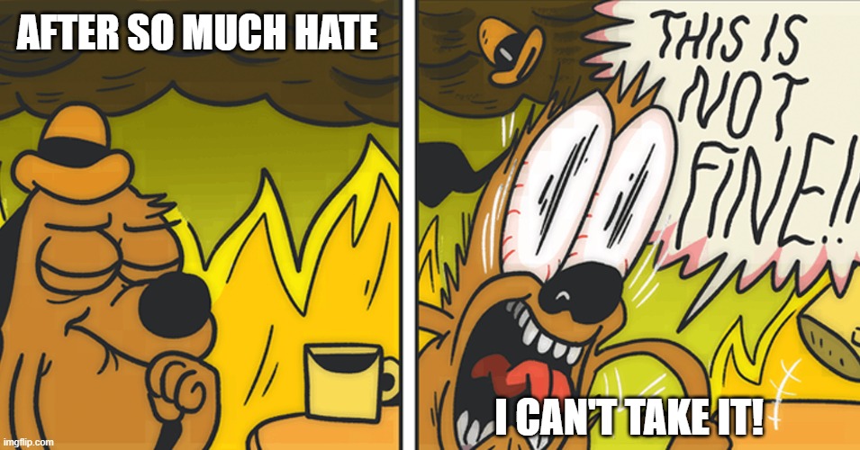 I know 2020 sucks but... | AFTER SO MUCH HATE; I CAN'T TAKE IT! | image tagged in this is not fine,memes,2020 | made w/ Imgflip meme maker