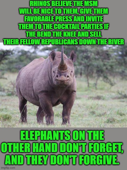 yep | RHINOS BELIEVE THE MSM WILL BE NICE TO THEM, GIVE THEM FAVORABLE PRESS AND INVITE THEM TO THE COCKTAIL PARTIES IF THE BEND THE KNEE AND SELL THEIR FELLOW REPUBLICANS DOWN THE RIVER; ELEPHANTS ON THE OTHER HAND DON'T FORGET, AND THEY DON'T FORGIVE. | image tagged in rhinos | made w/ Imgflip meme maker