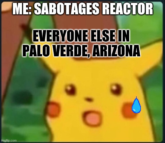 This place actually has a reactor | ME: SABOTAGES REACTOR; EVERYONE ELSE IN PALO VERDE, ARIZONA | image tagged in surprised pikachu,among us,oh no | made w/ Imgflip meme maker