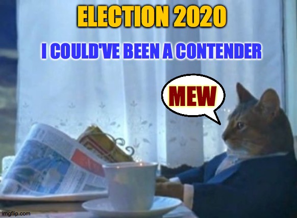 Coulee been somebody | ELECTION 2020; I COULD'VE BEEN A CONTENDER; MEW | image tagged in memes,i should buy a boat cat,contender,thunder,thursday,meme | made w/ Imgflip meme maker