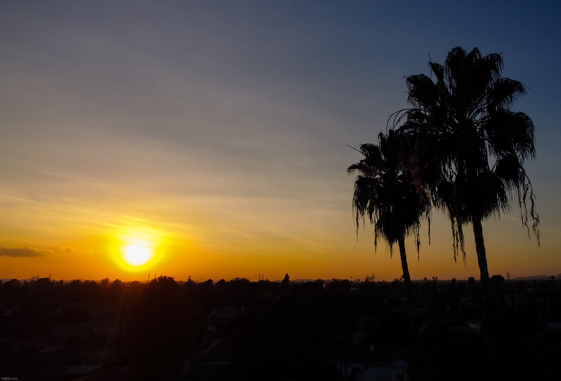 Sunset by palms. Drone photo. | image tagged in original photography,drone,sunset,palm trees,egos | made w/ Imgflip meme maker