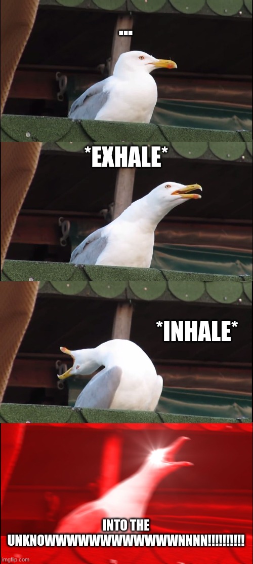 Inhaling Seagull | ... *EXHALE*; *INHALE*; INTO THE UNKNOWWWWWWWWWWWWNNNN!!!!!!!!!! | image tagged in memes,inhaling seagull | made w/ Imgflip meme maker