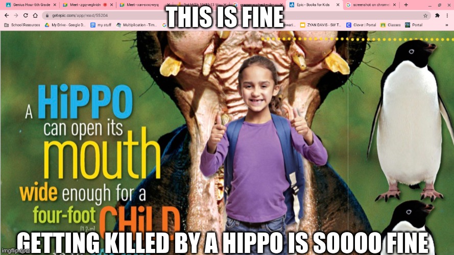 so fine | THIS IS FINE; GETTING KILLED BY A HIPPO IS SOOOO FINE | image tagged in when u see a hippo,this is fine,lol | made w/ Imgflip meme maker