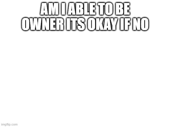 Blank White Template | AM I ABLE TO BE OWNER ITS OKAY IF NO | image tagged in blank white template | made w/ Imgflip meme maker
