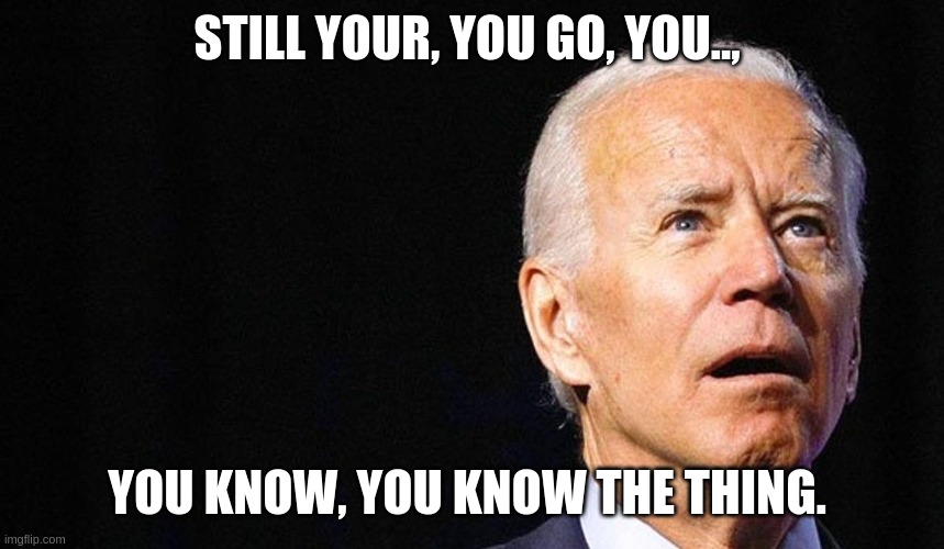 So your, you know, the thing. | STILL YOUR, YOU GO, YOU.., YOU KNOW, YOU KNOW THE THING. | image tagged in barelytherebiden,basementbiden,moronelect | made w/ Imgflip meme maker