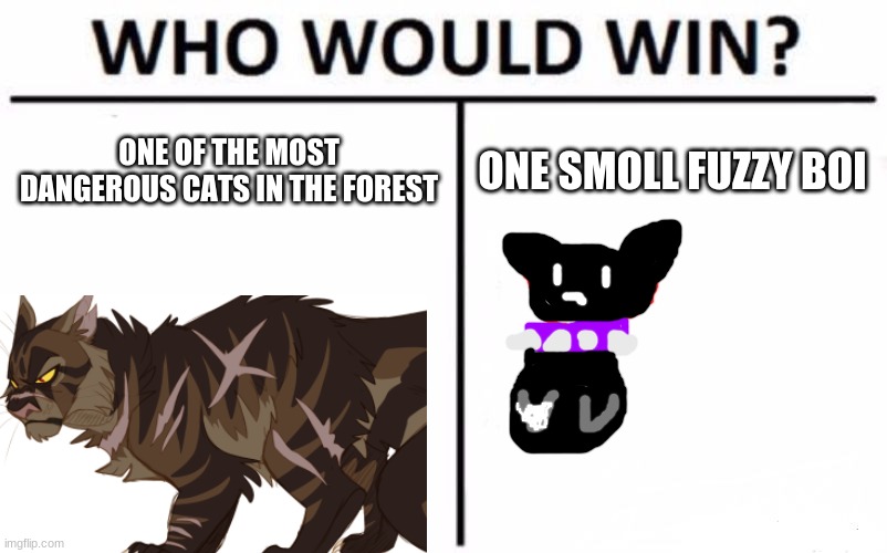 Who Would Win? | ONE OF THE MOST DANGEROUS CATS IN THE FOREST; ONE SMOLL FUZZY BOI | image tagged in memes,who would win,cats | made w/ Imgflip meme maker