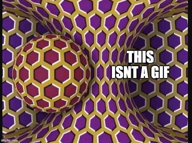 I swear its not | THIS ISNT A GIF | image tagged in optical illusion | made w/ Imgflip meme maker